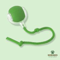 Groen